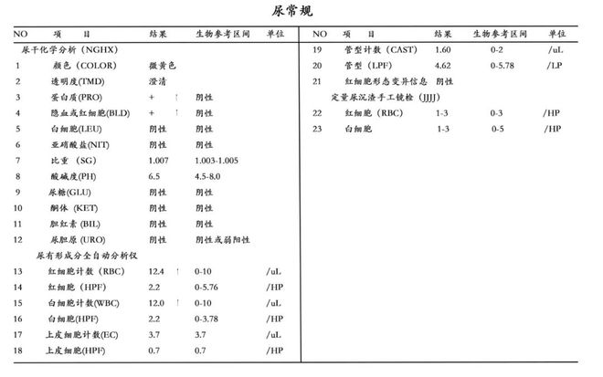 エロワンピースエロゲ官网 我建议先从简单模式开始
