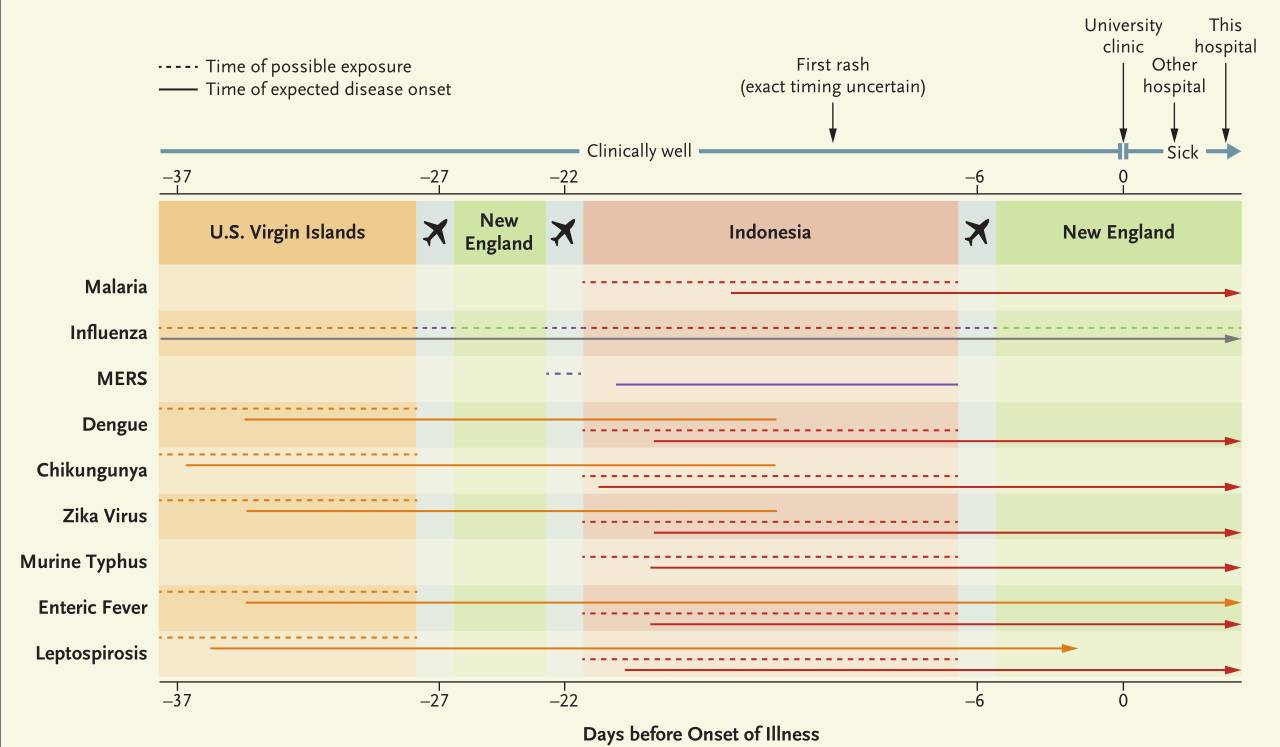 那种网站小视频