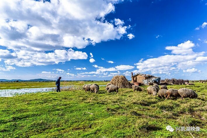 爱番 有深厚感情的爱番动画作品