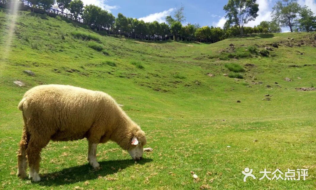 爱番 有深厚感情的爱番动画作品