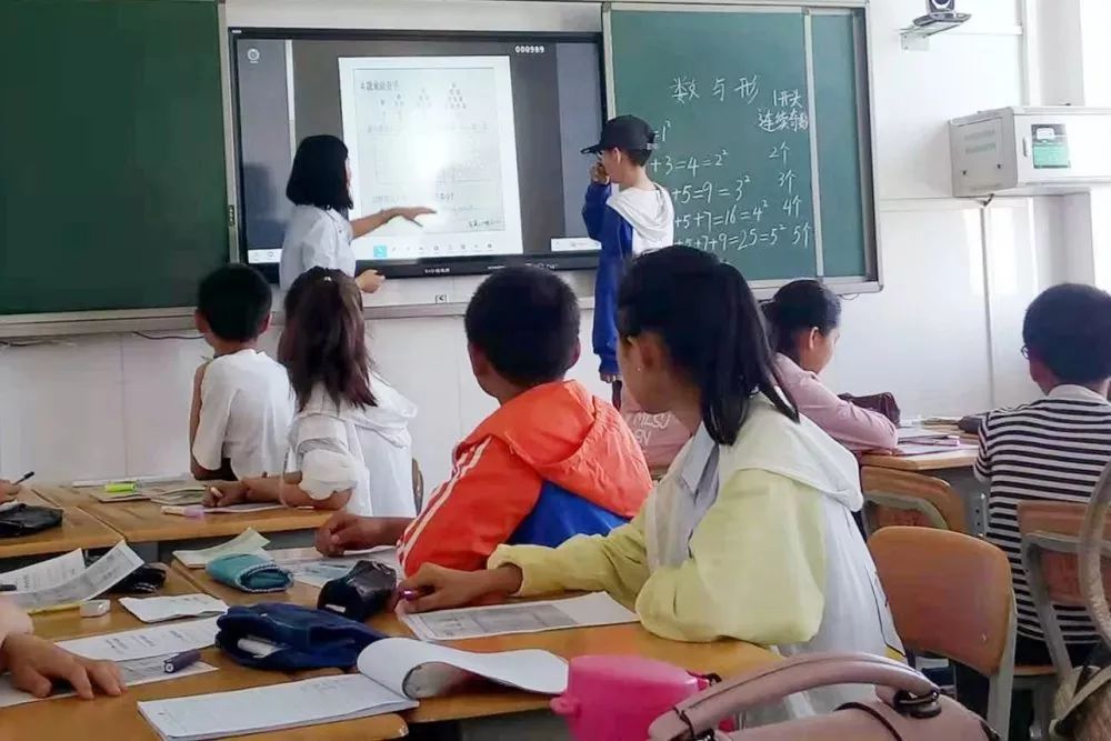 趣综艺情 趣综艺情并附上了看点