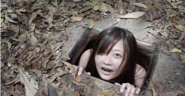 51吃瓜抄底大神 提供可视化分析图表