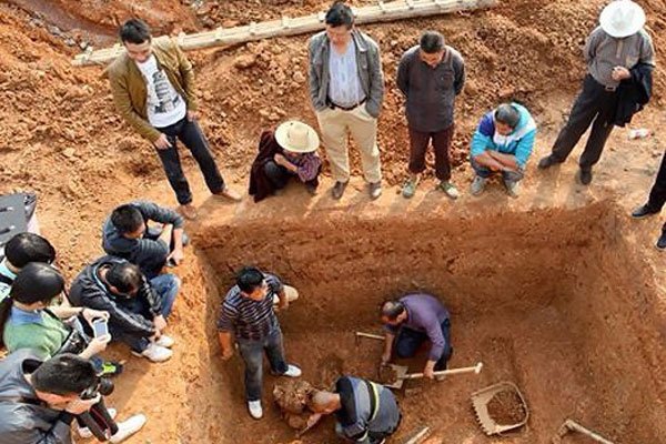 gtv专注于提供国内