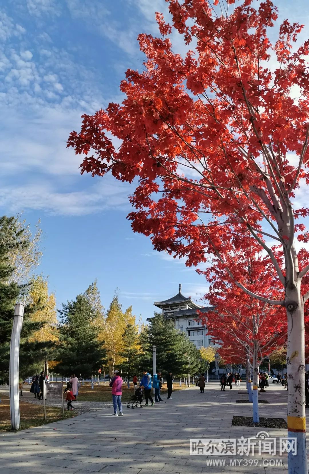 男 男 网站 我很乐意为您提供建议和推荐
