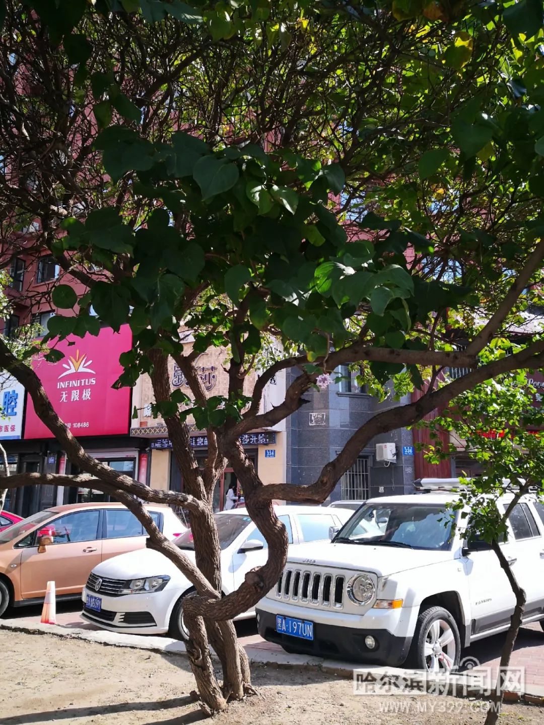 男 男 网站 我很乐意为您提供建议和推荐