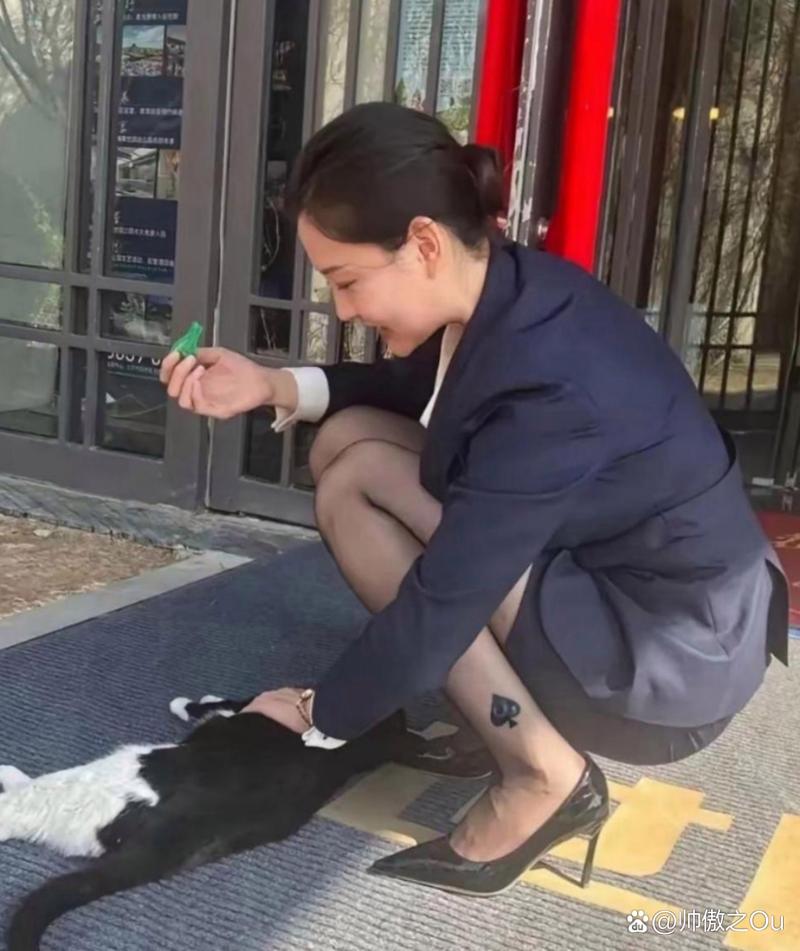 小马拉大车里番 