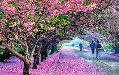 寸。挑战 我可以帮你一起思考