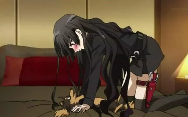 黄页网址大全免费应用 手机地图不断旋转着定位箭头