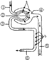 国产日韩在线欧美视频