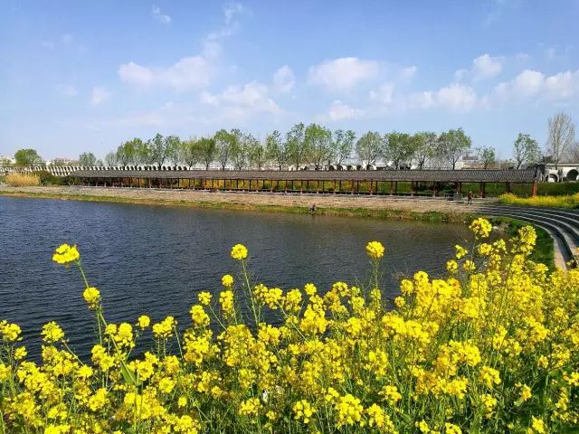 精品中文字幕一级区 