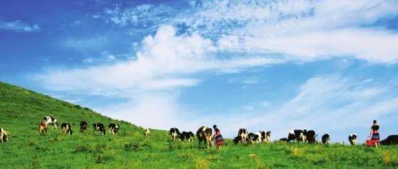 粗大伦H伦亲女 值得我们每个人学习