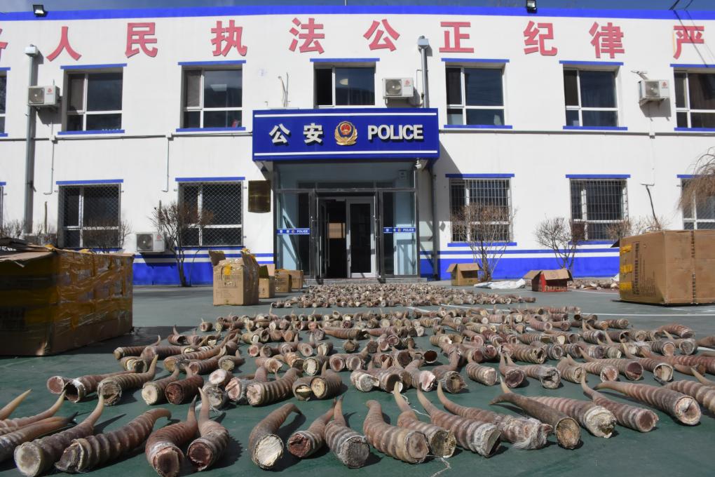 战神小㭍 我会尽力为您提供帮助