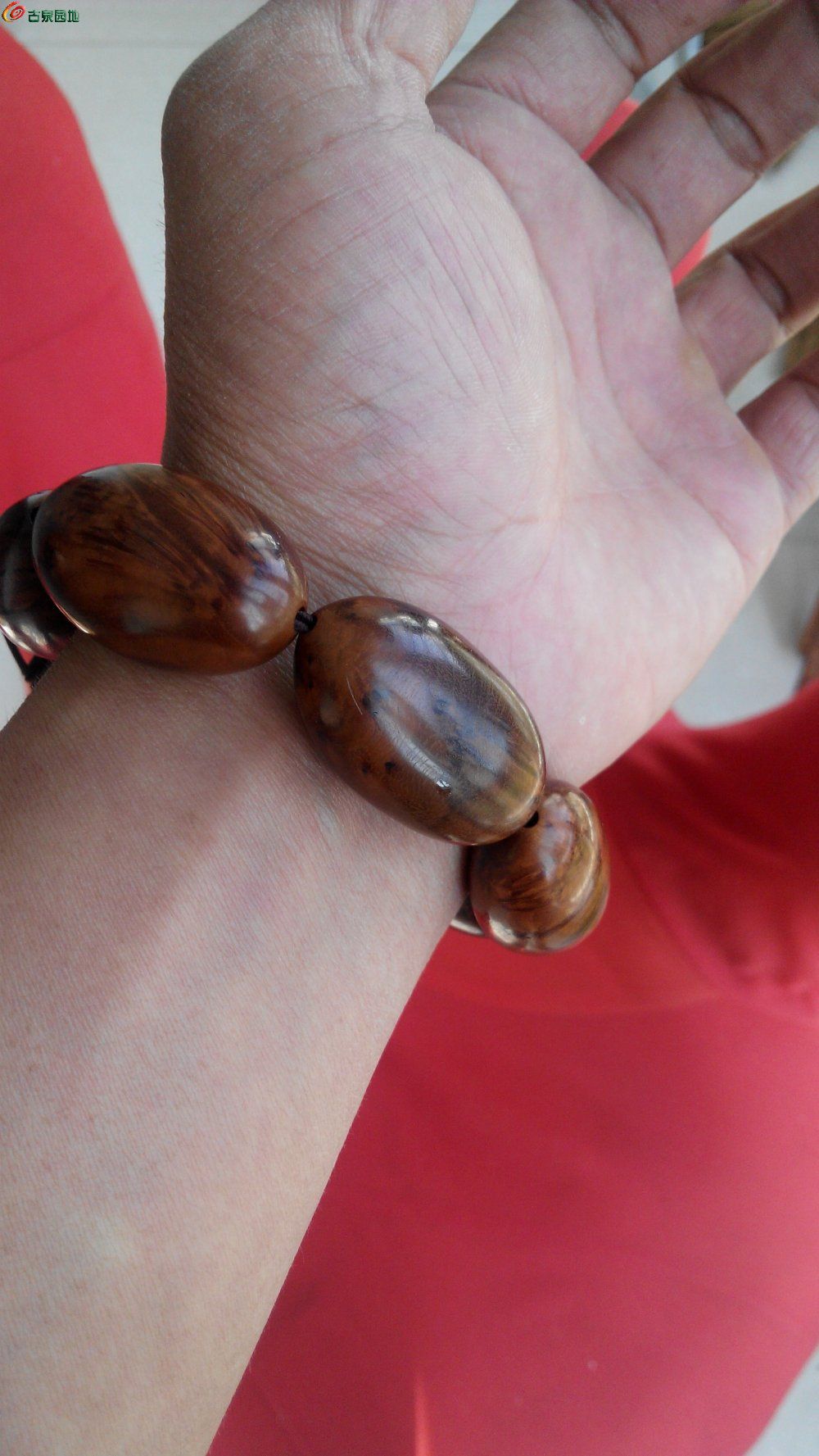 捷克街头洗车工 洗车较少提供深度护理