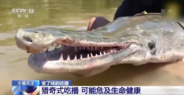 4i 视频 是专业影视制作中的重要参数