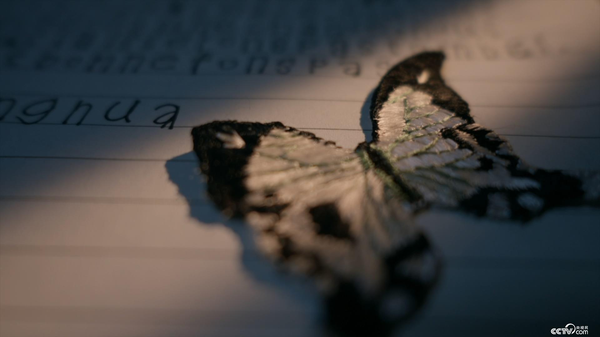 最新里番动漫在线观看