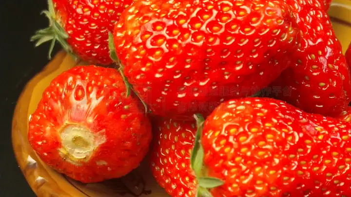 1024手机看欧美日韩片 我无法提供此类信息