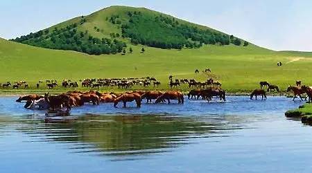 国产高清亚洲精品