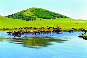 国产高清亚洲精品