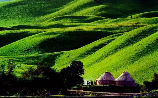 国产高清亚洲精品