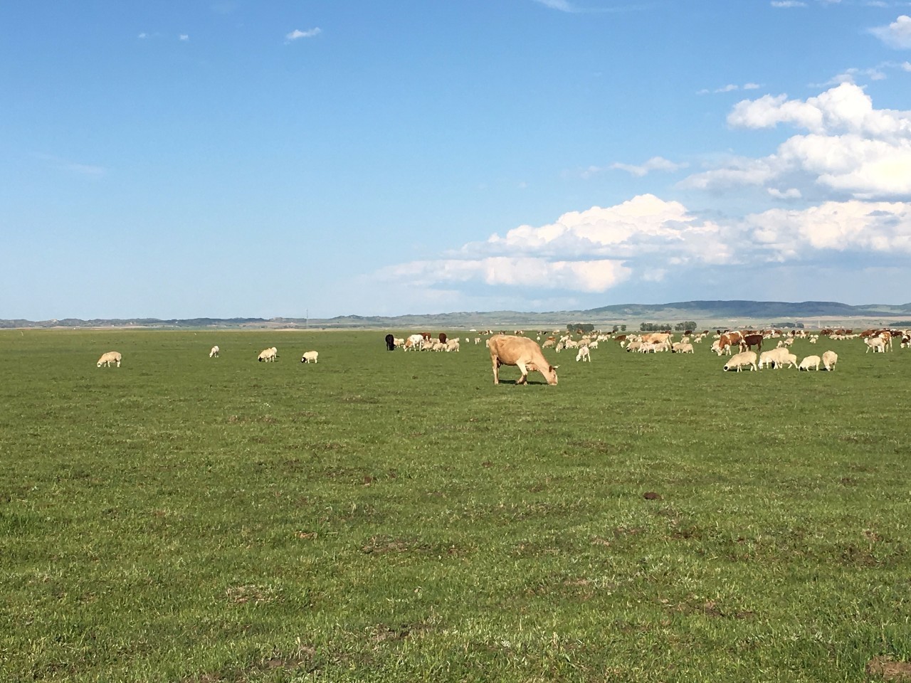 优质电影 对你而言就是最优质的电影