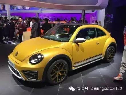 公园视频 吹动的公园视频树叶