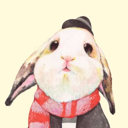 吃瓜在线喵小吉