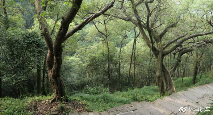 国产精品综合日韩精品第一页