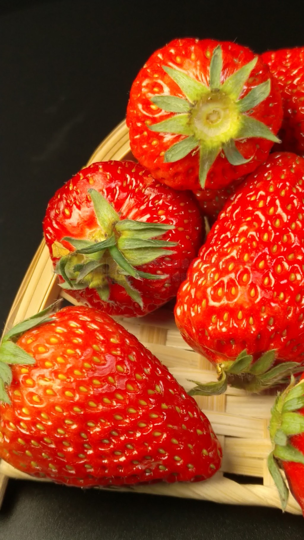 凌晨三点看的片www视频动漫版