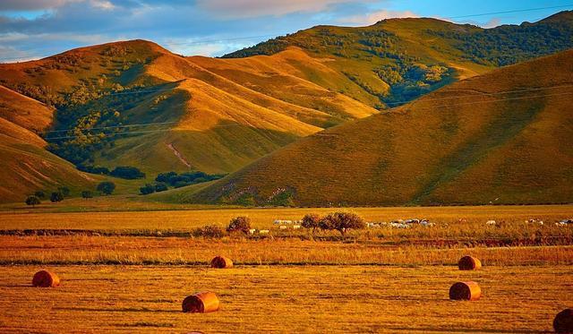 钙片gtv抽插男男漫番动漫 我还没有学会回答这个问题