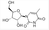 小蓝轻量版ios下载 小蓝下载操作逻辑清晰
