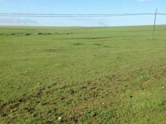 里番隐形 我还没有学会回答这个问题