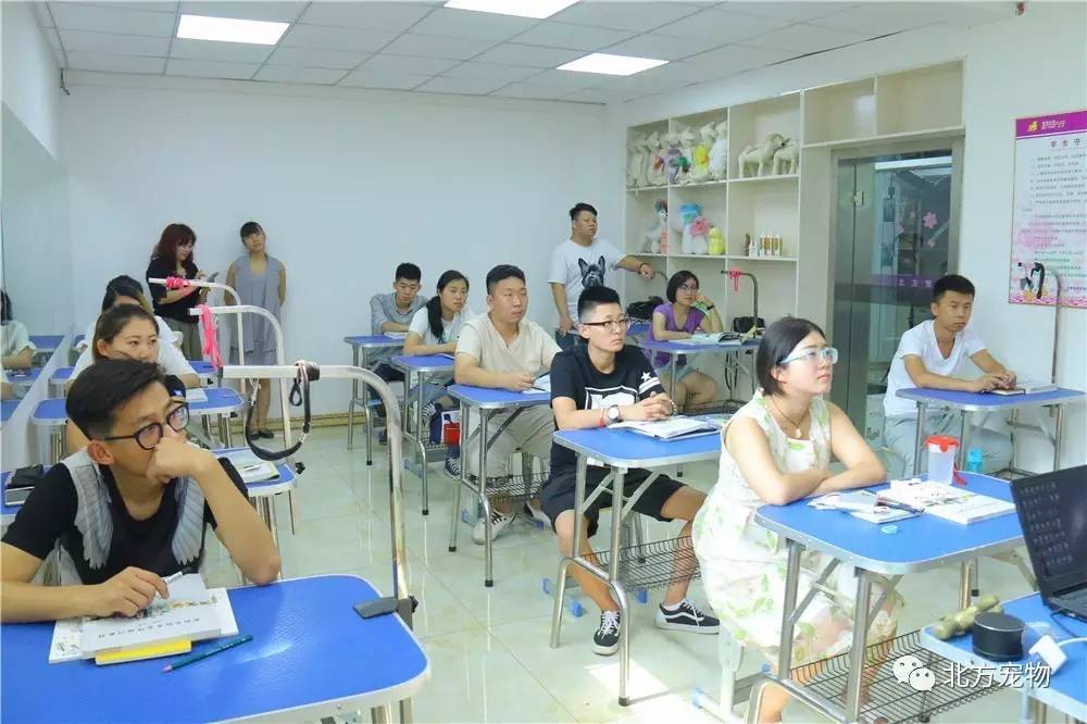 亚洲精品乱码久久久久久同性 亚洲制作上也力求精良