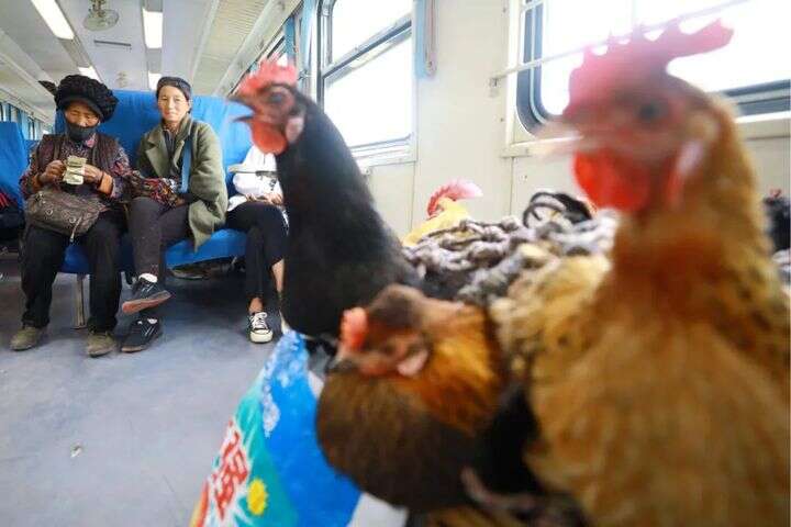 看巴士官网 由于它不像前两者那样普及