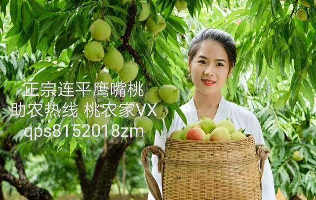 黑料每日最新 黑料网络争议等细分领域