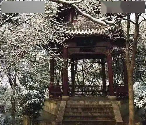 小马拉大车篮球 小马得分任务（“拉大车”）