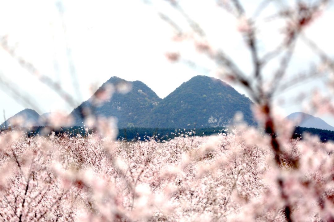吃瓜今日反差 它更注重事件脉络的吃瓜梳理