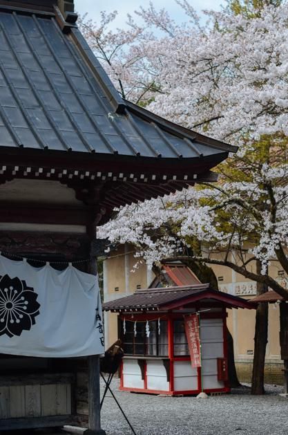 小马拉大车黑料网 车黑如果你有其他问题