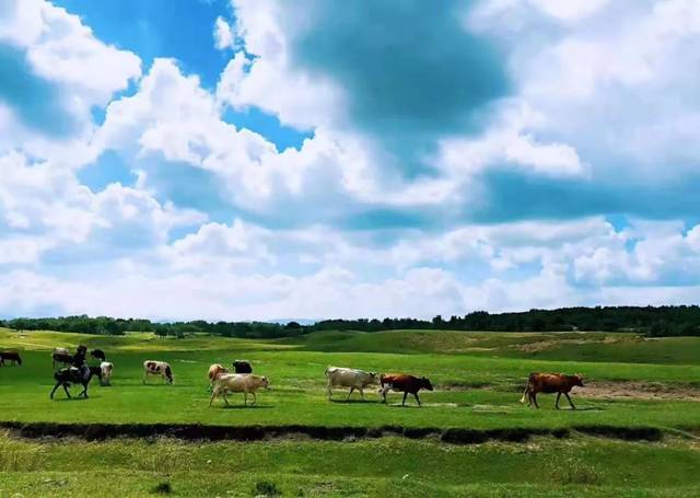 911探花吃瓜 探花吃瓜使用便捷：界面直观