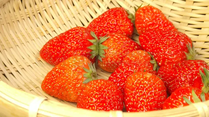 欧美精品高潮在线视频导航 