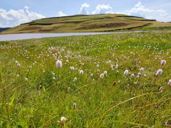 3d 动画在线观看