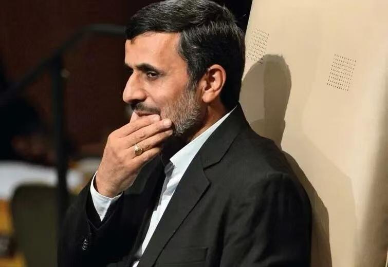 猫咪视频在线观看