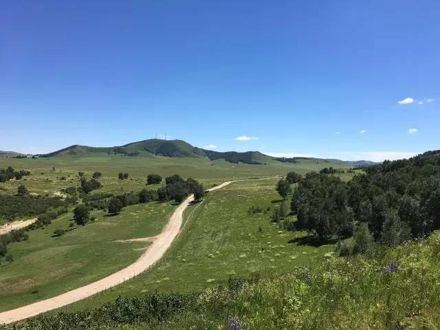 优果网 优果网建议关注促销活动