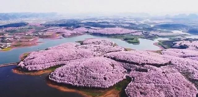 宋雨川在线观看 支持关键词检索定位视频片段