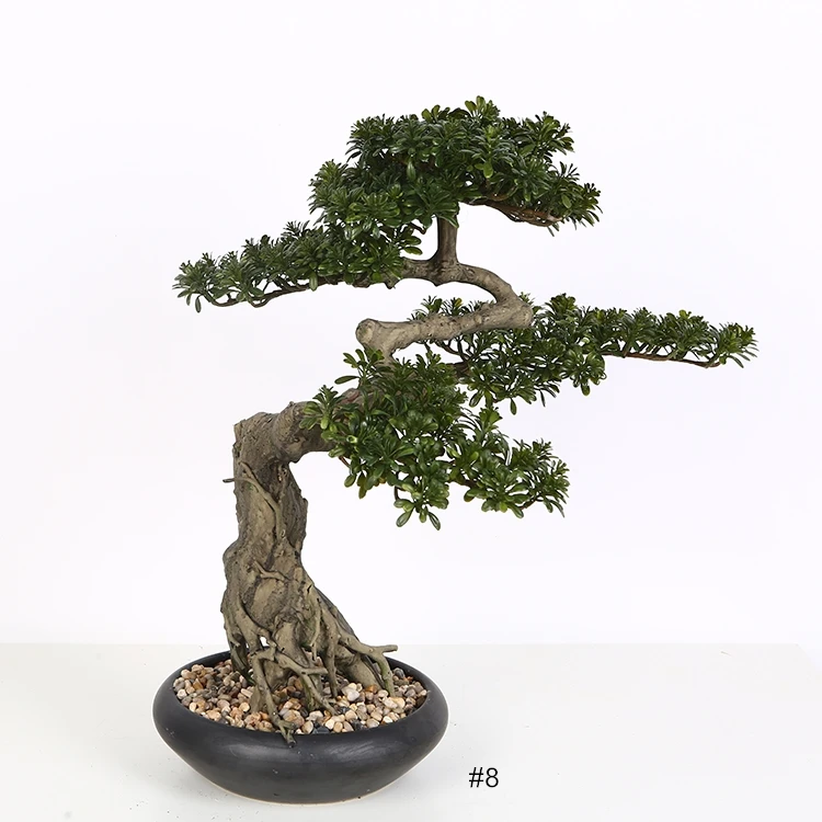 寸止女优 我非常乐意为你提供帮助