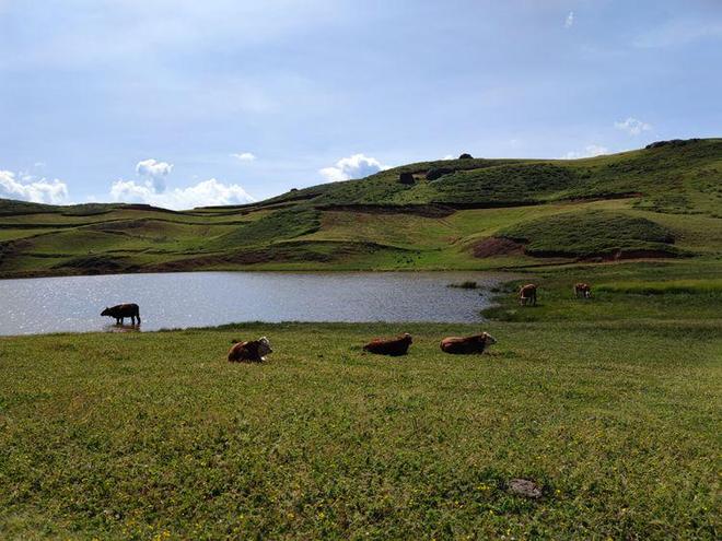 在线观看资源 可以告诉我电影/剧集名称