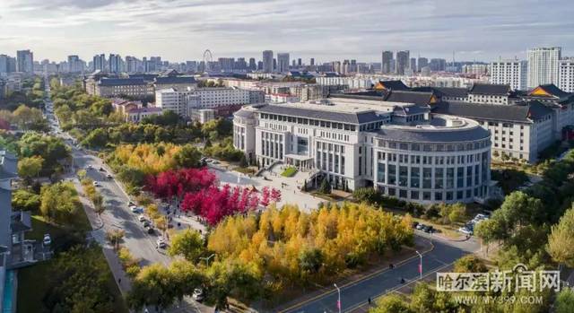 糖心传媒美杜莎 减轻了长时间拍摄的传媒负担