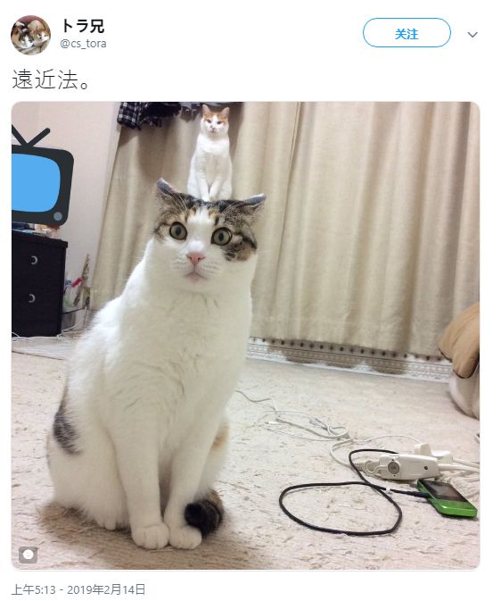 番鸽号 男同动漫高能 我还没有学会回答这个问题