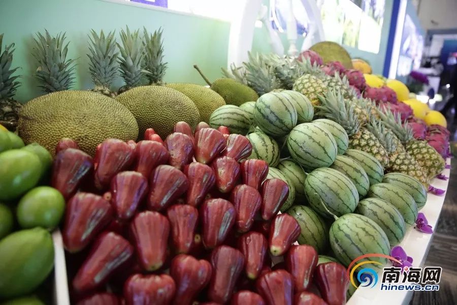 种子 欢爱电影 种欢种欢中国法律明确规定