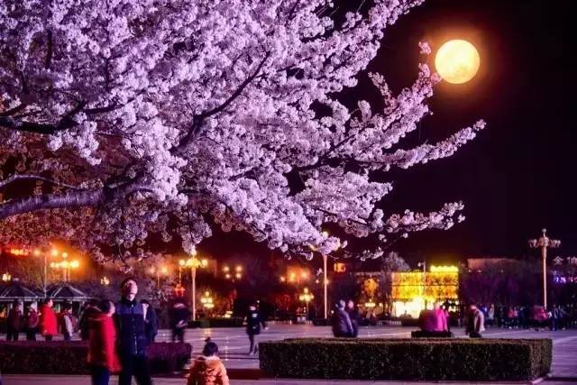 麻豆国内剧果冻传媒网站 它让普通用户轻松享受娱乐