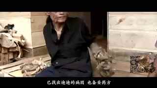 抖音黑料吃瓜群 抖音群聊内容更随意